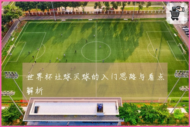 世界杯让球买球的入门思路与看点解析