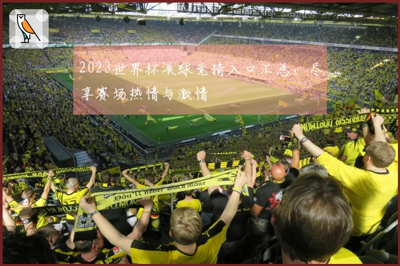 2023世界杯滚球竞猜入口汇总，尽享赛场热情与激情