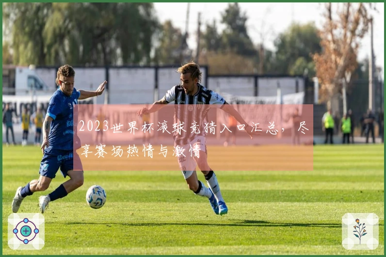 2023世界杯滚球竞猜入口汇总，尽享赛场热情与激情