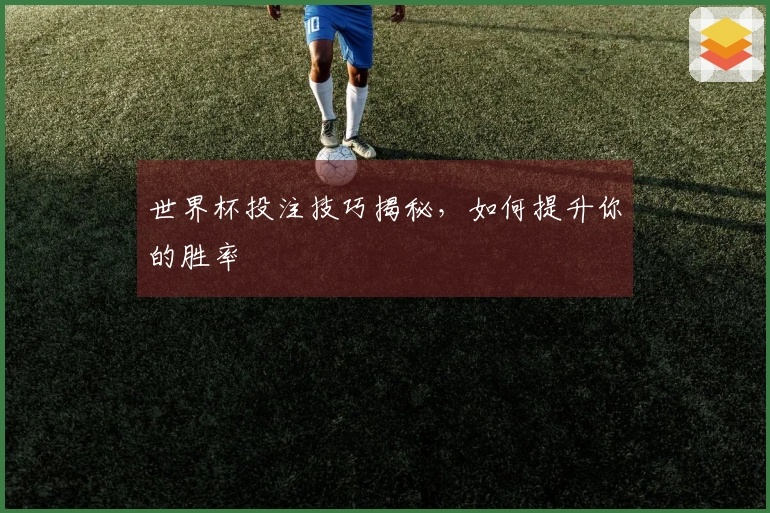 世界杯投注技巧揭秘，如何提升你的胜率