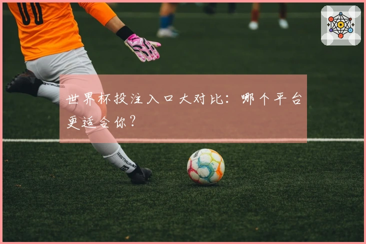 世界杯投注入口大对比：哪个平台更适合你？