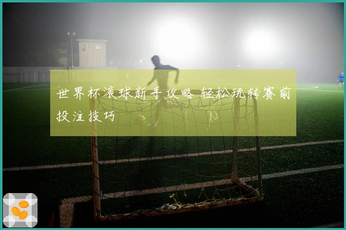 世界杯滚球新手攻略 轻松玩转赛前投注技巧