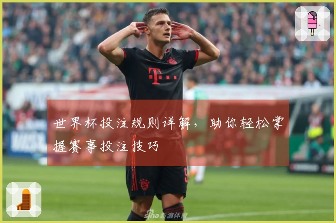 世界杯投注规则详解，助你轻松掌握赛事投注技巧