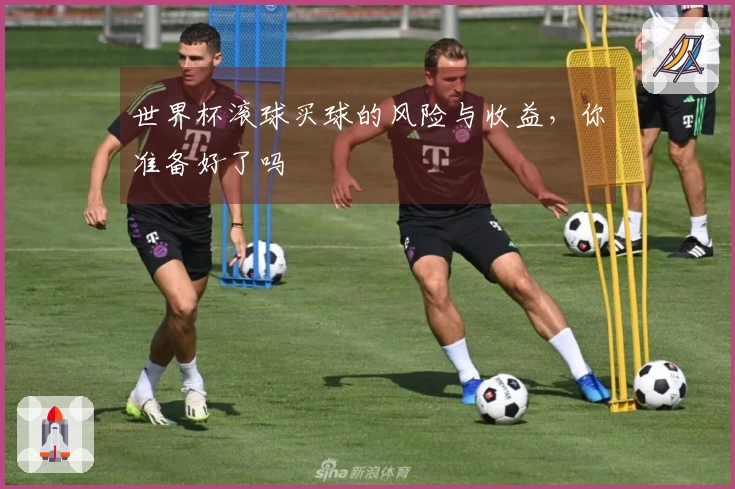 世界杯滚球买球的风险与收益，你准备好了吗