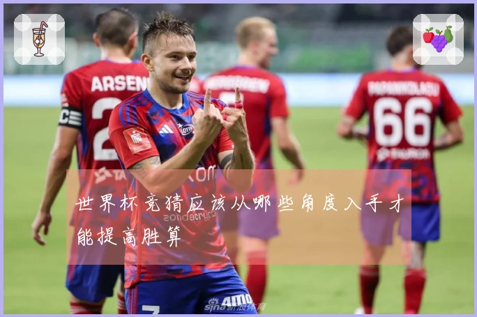 世界杯竞猜应该从哪些角度入手才能提高胜算