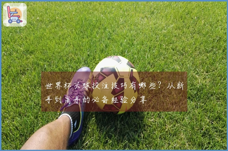 世界杯买球投注技巧有哪些？从新手到高手的必备经验分享